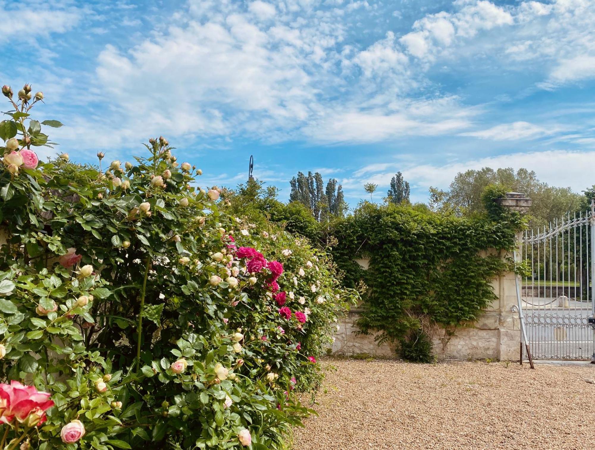 Maison Adrienne Saint-Aignan  Εξωτερικό φωτογραφία